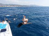 DSC06446.JPG