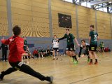 IMG_9261.JPG