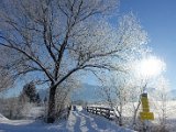 DSC01829.JPG
