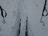 DSC08169.JPG